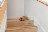 630 Avenue H - Photo 6
