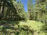 18 & 20 Shady Pine Way - Photo 1