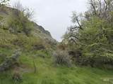 TBD River Road - Photo 12