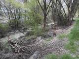 TBD River Road - Photo 17