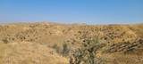 6752 Plano Ln - Photo 13