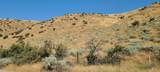 6752 Plano Ln - Photo 5