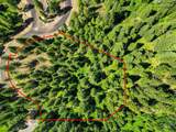 2 Spruce Hill Road - Photo 16