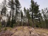 11 Sawtooth Loop - Photo 10