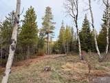11 Sawtooth Loop - Photo 12