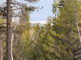 11 Sawtooth Loop - Photo 17