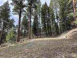 13 Mountain Air Dr. - Photo 4