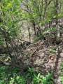 0 Forsman Ave - Photo 4