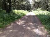 TBD Jackpine Rd - Photo 41