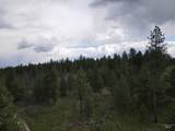 TBD Jackpine Rd - Photo 45