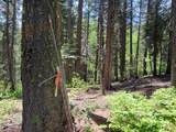 32 Arling Trail - Photo 12