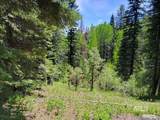 32 Arling Trail - Photo 5