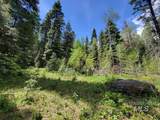 32 Arling Trail - Photo 6