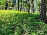 32 Arling Trail - Photo 9