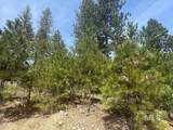 474 Timbercrest Loop - Photo 7