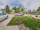 804 Main #6 - Photo 5