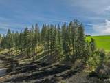 TBD Hwy 95 - Photo 19