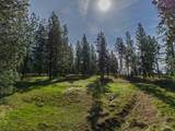 TBD Hwy 95 - Photo 8