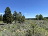 Lot 12 Star Creek Ct - Photo 24