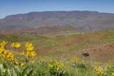 106xx Timber Butte Rd - Photo 15