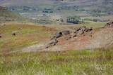 106xx Timber Butte Rd - Photo 25