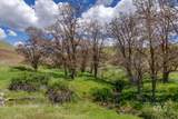 106xx Timber Butte Rd - Photo 35