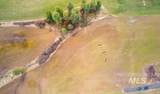 NKA Clifford Rd - Photo 12