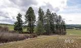 NKA Clifford Rd - Photo 2