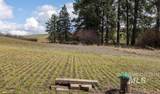 NKA Clifford Rd - Photo 7