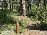 L16 B1 Shaw Gulch Road - Photo 12