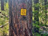 L16 B1 Shaw Gulch Road - Photo 15