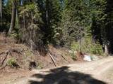 1601 Bear Trail Loop - Photo 1