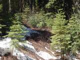 1601 Bear Trail Loop - Photo 9
