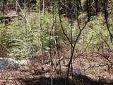 1601 Bear Trail Loop - Photo 10
