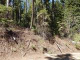 1601 Bear Trail Loop - Photo 12