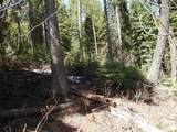 1601 Bear Trail Loop - Photo 13