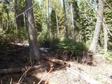 1601 Bear Trail Loop - Photo 14