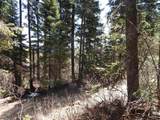 1601 Bear Trail Loop - Photo 15