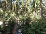 1601 Bear Trail Loop - Photo 16