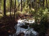 1601 Bear Trail Loop - Photo 17