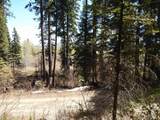 1601 Bear Trail Loop - Photo 2