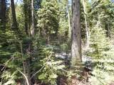 1601 Bear Trail Loop - Photo 18