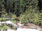 1601 Bear Trail Loop - Photo 19
