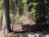 1601 Bear Trail Loop - Photo 20