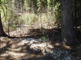 1601 Bear Trail Loop - Photo 21