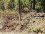 1601 Bear Trail Loop - Photo 22
