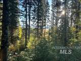 1601 Bear Trail Loop - Photo 25