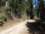 1601 Bear Trail Loop - Photo 3
