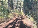 1601 Bear Trail Loop - Photo 26