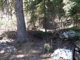 1601 Bear Trail Loop - Photo 4